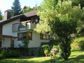 Гостиница Haus Sonnenhang  Тодтнау